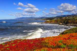 Fiscalini coast near Cambria-1994.jpg Fiscalini coast near Cambria-1994.jpg